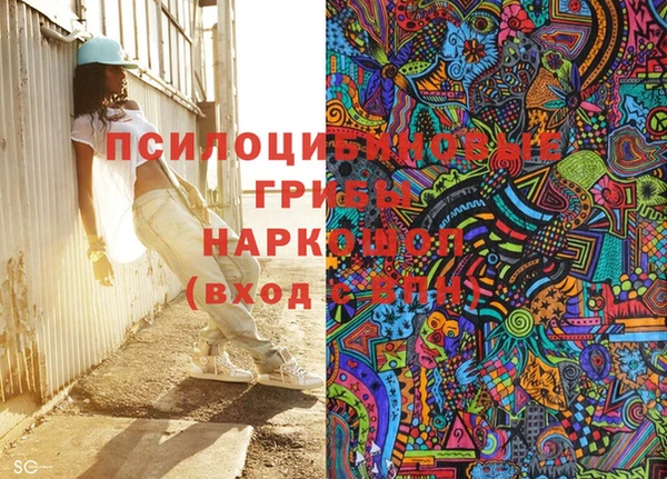 амф Алексин